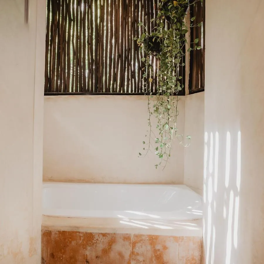 ホテル Akkuun Tulum - Adults Only メキシコ